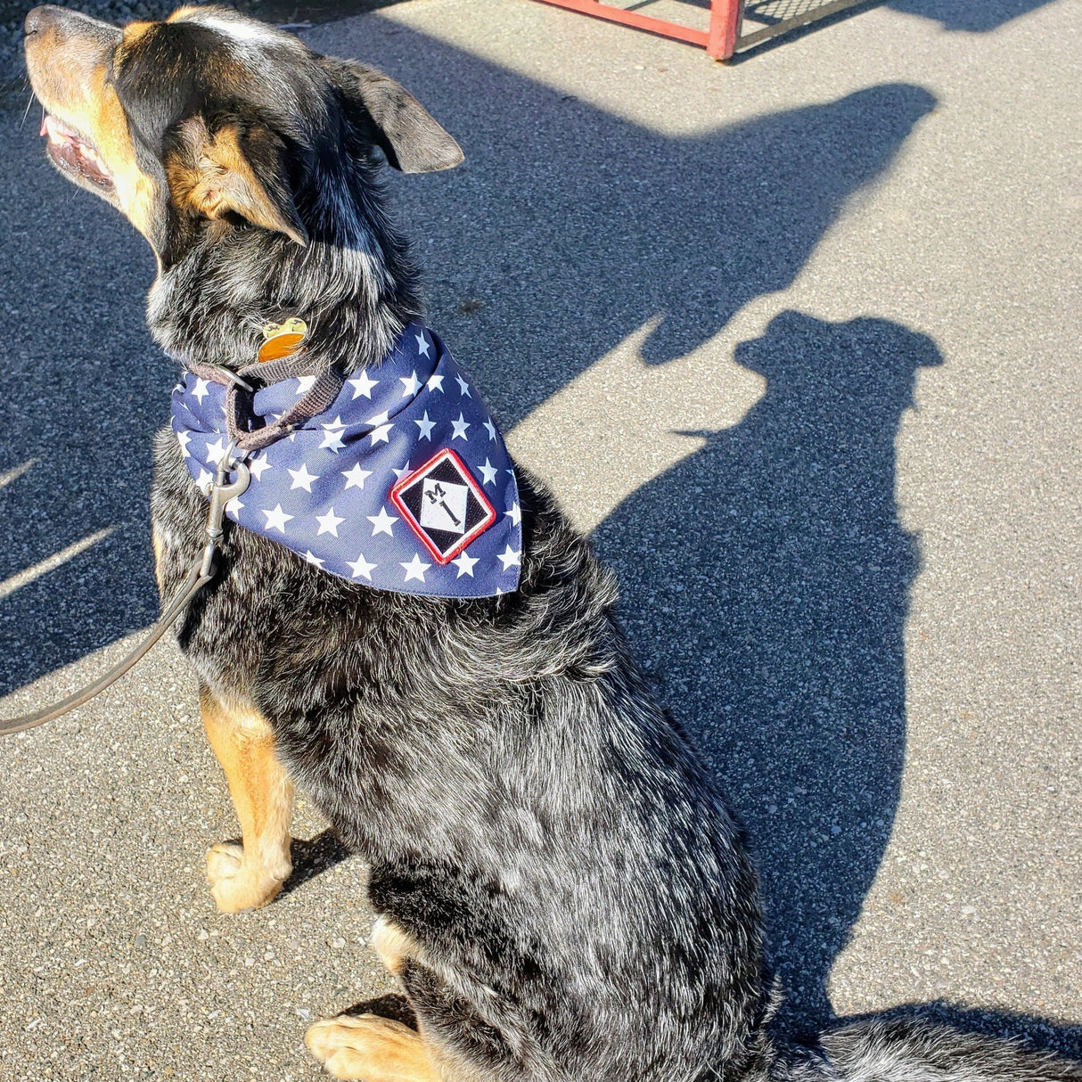 Dog Bandana with M1 Sign Patch - Navy Blue with White Stars
