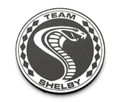 Shelby Team Magnet